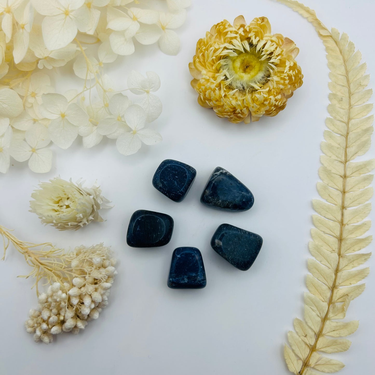 Sodalite (PR)