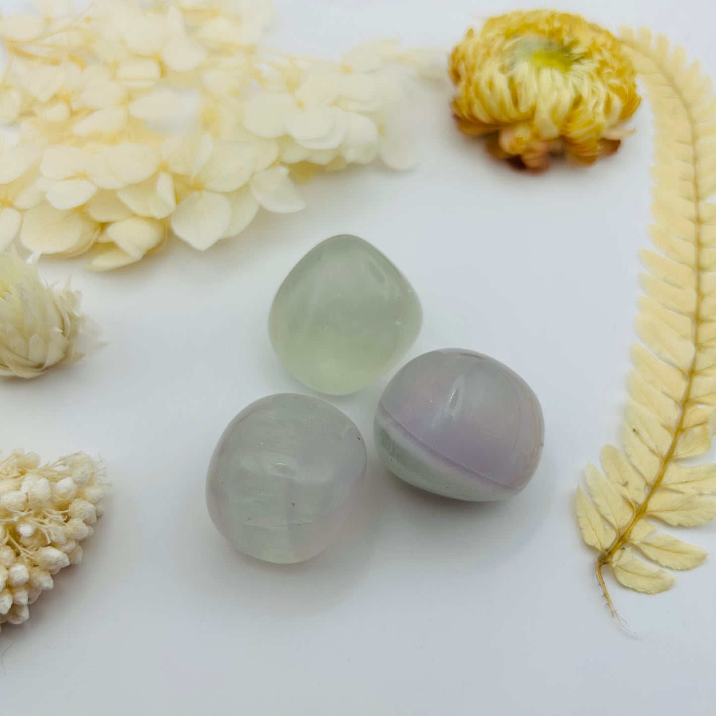 Fluorite (PR)