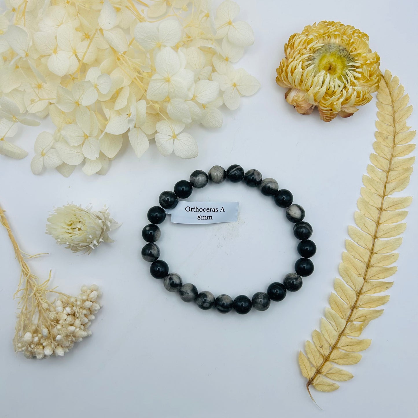 Bracelet Orthoceras A (8 mm)