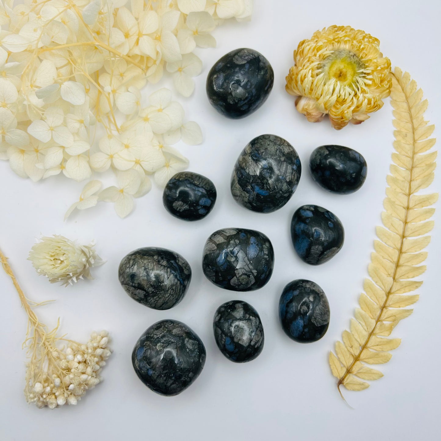 Libérite Bleue AA (P.R.)