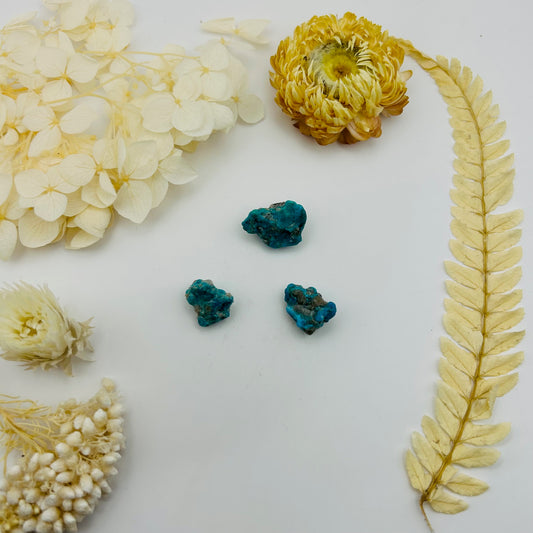 Turquoise Nugget (PB)