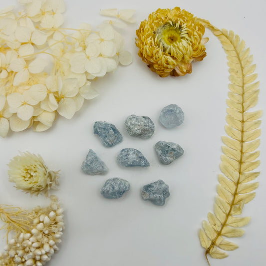 Kyanite Nugget (PB)