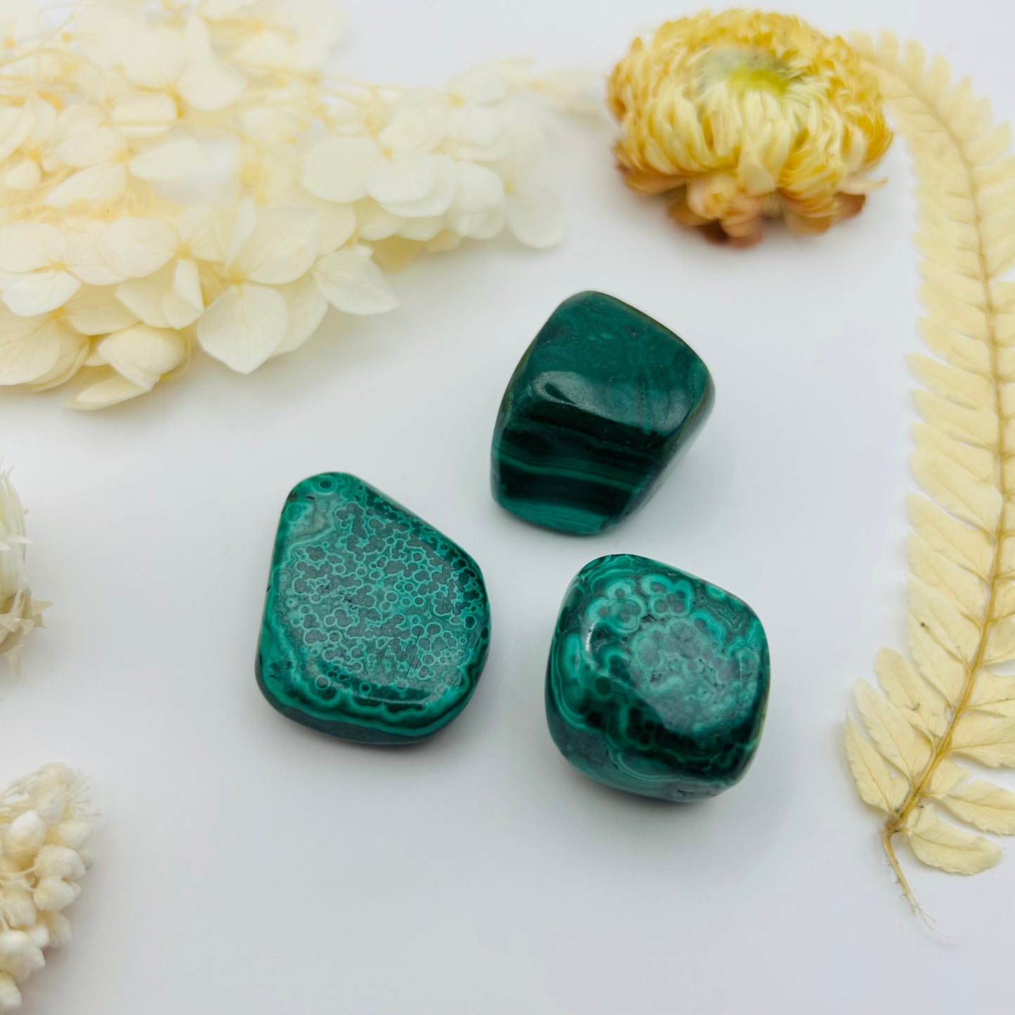 Malachite (PR)