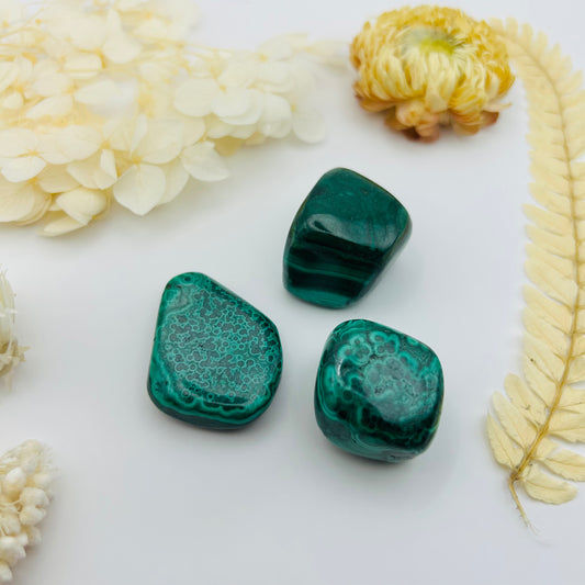 Malachite (PR)