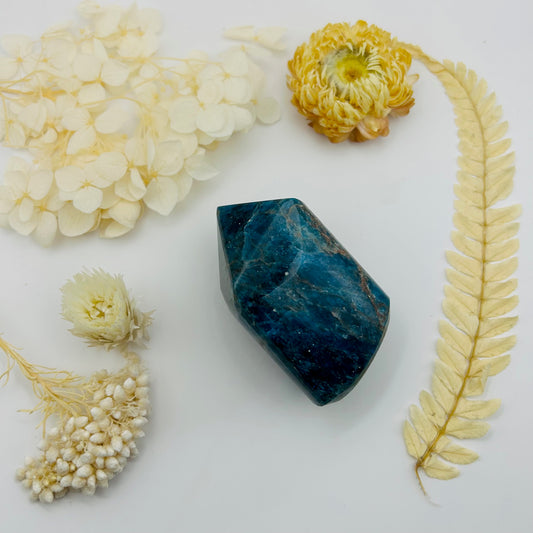 Apatite A Prism