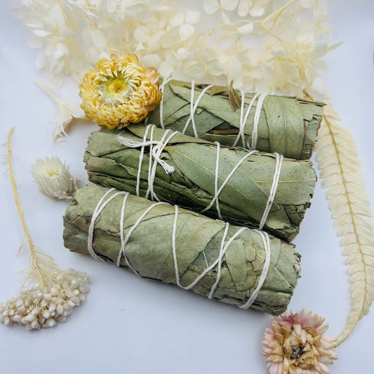 “Eucalyptus” fumigation bouquet