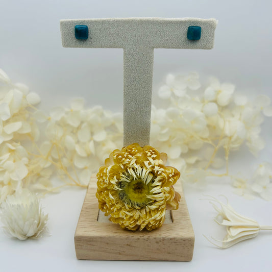 Earrings - Apatite