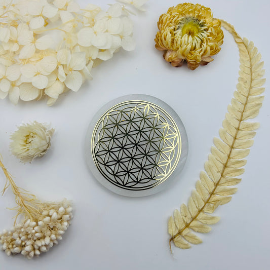 Selenite Charging Disc - Flower of Life (small)