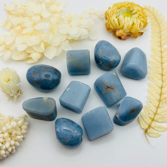 Angelite (PR)