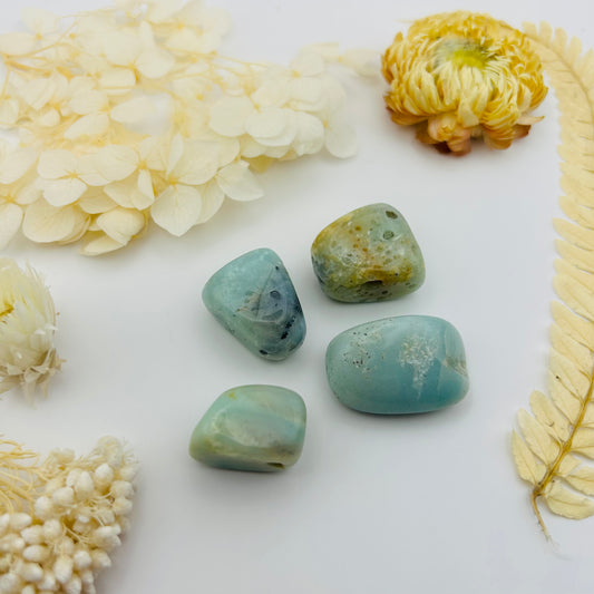 Indian Amazonite (PR)