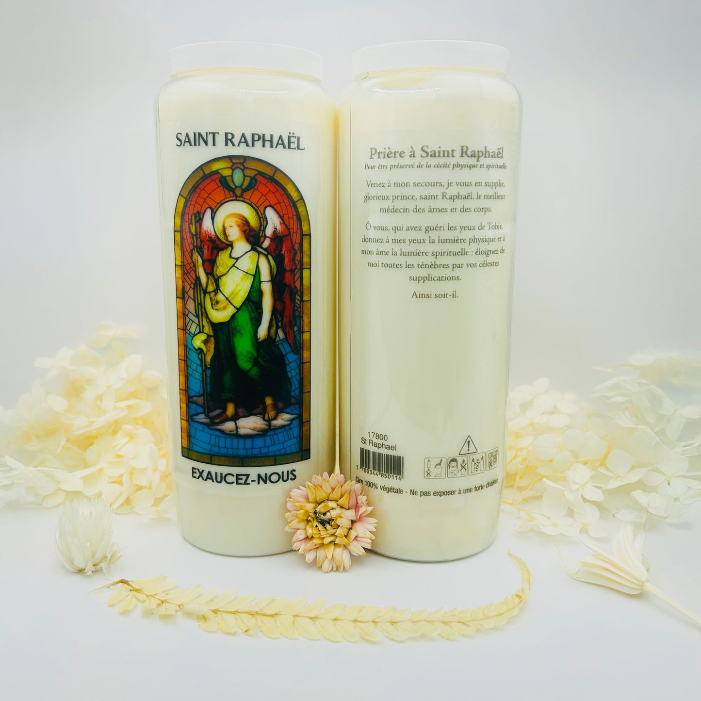 Novena "Saint Raphael"