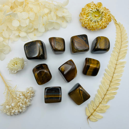 Tiger's Eye (PR)