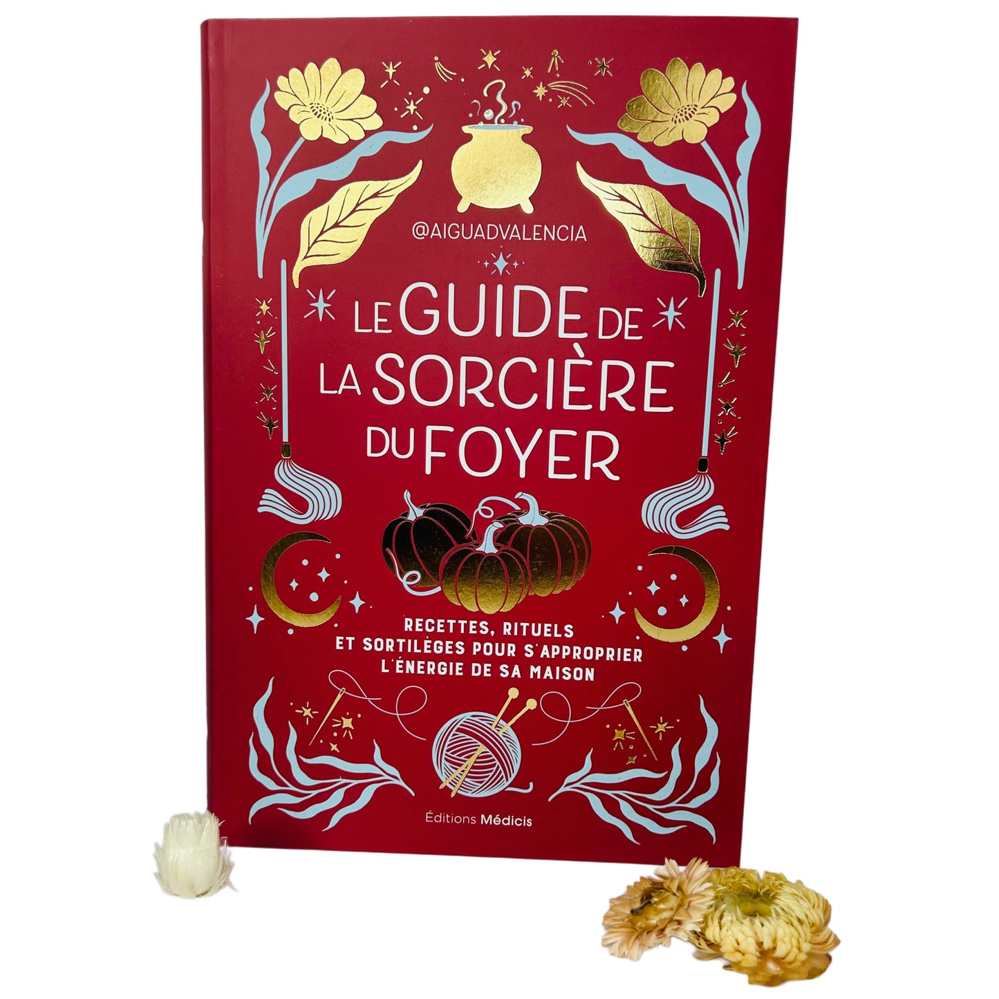 Le guide de la sorcière du foyer