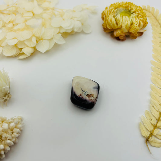 Mokaite Jasper (PR)