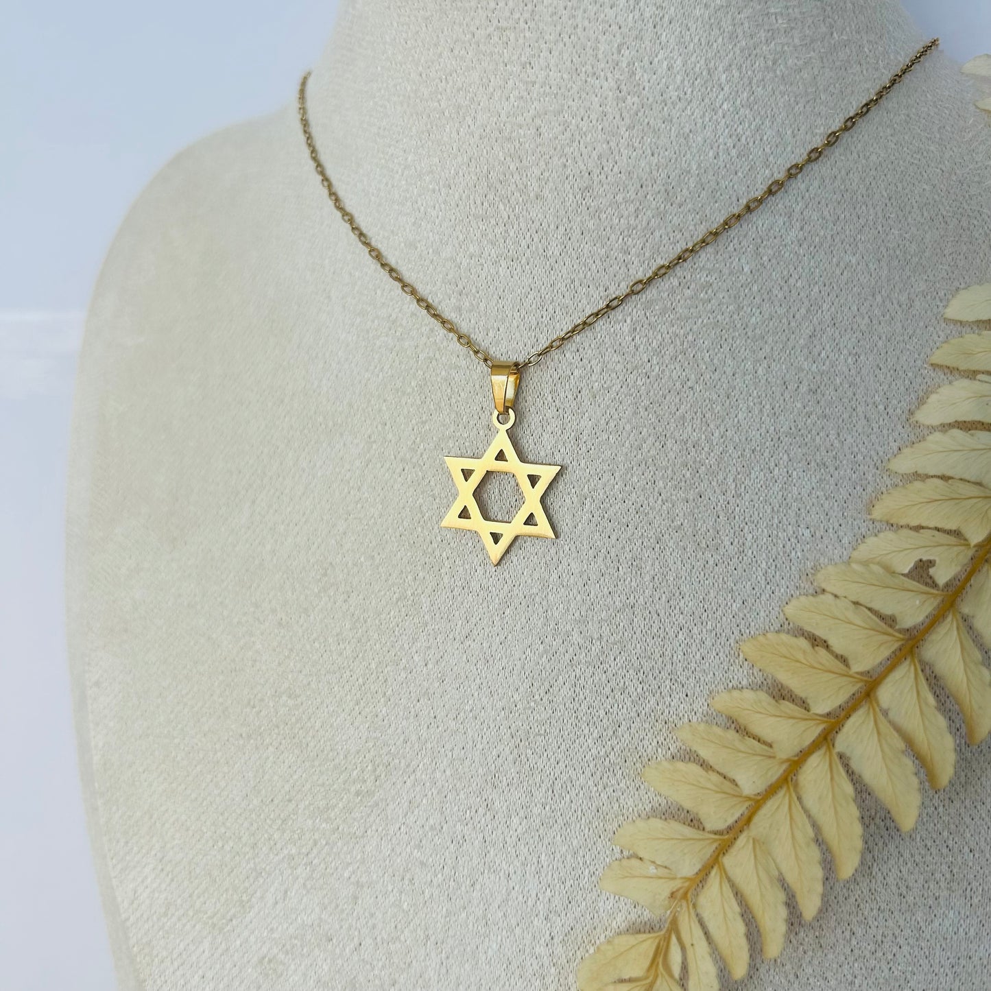 Star of David Necklace (Gold)