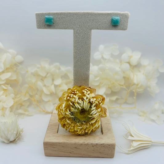 Earrings - Amazonite