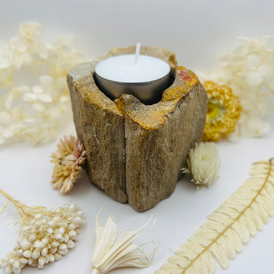 Petrified Wood Candle Holder (raw)