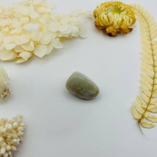 Amazonite (PR)