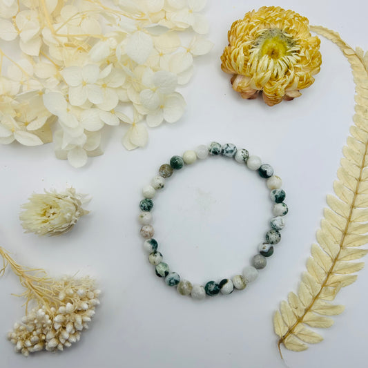 AA Tree Agate Bracelet (6 mm)