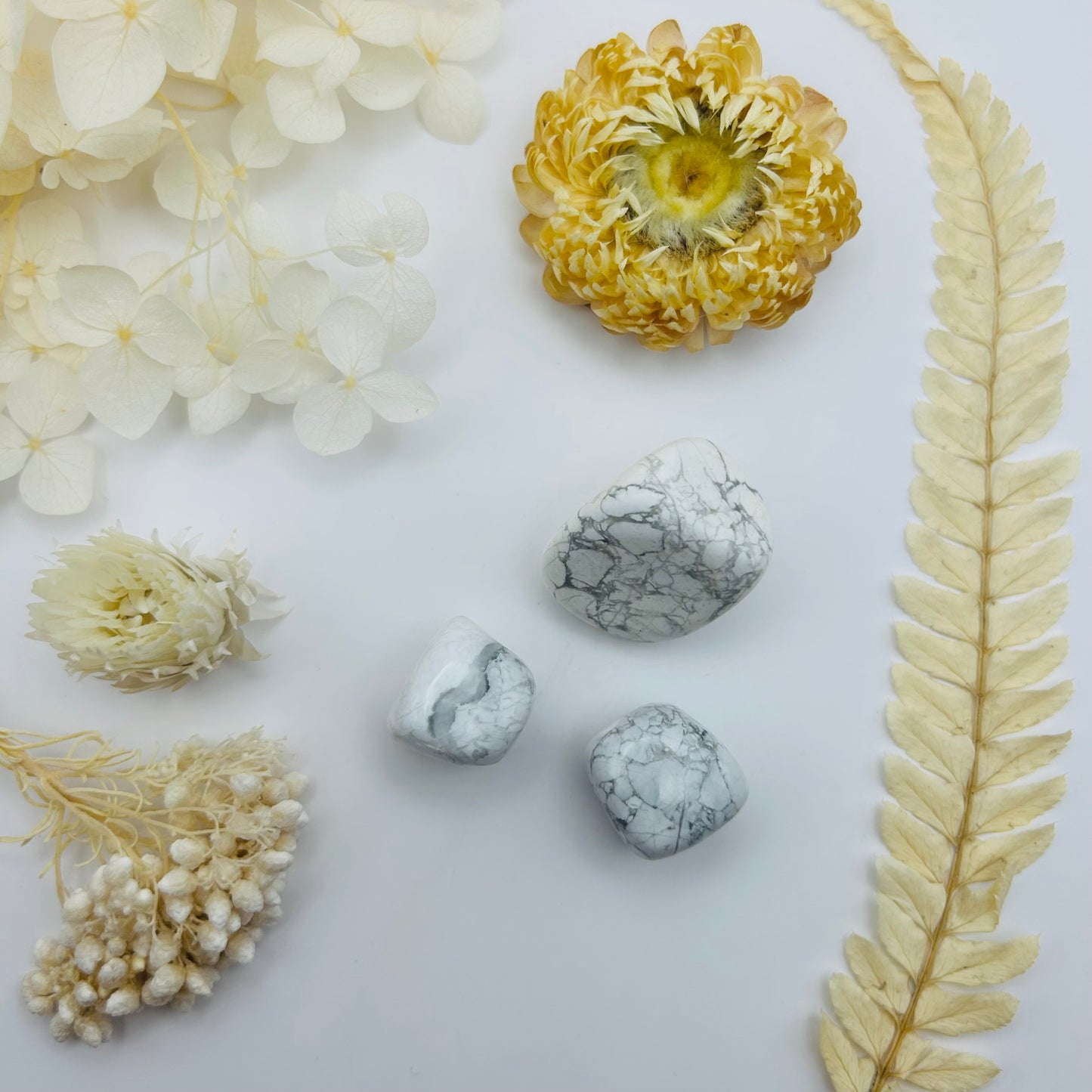 Howlite (PR)