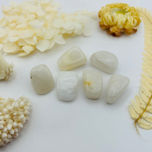 White Jade (PR)