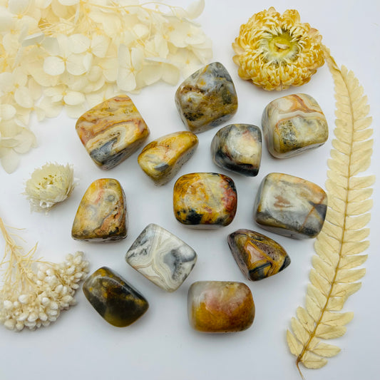 Agate Crazy Lace A (P.R.)