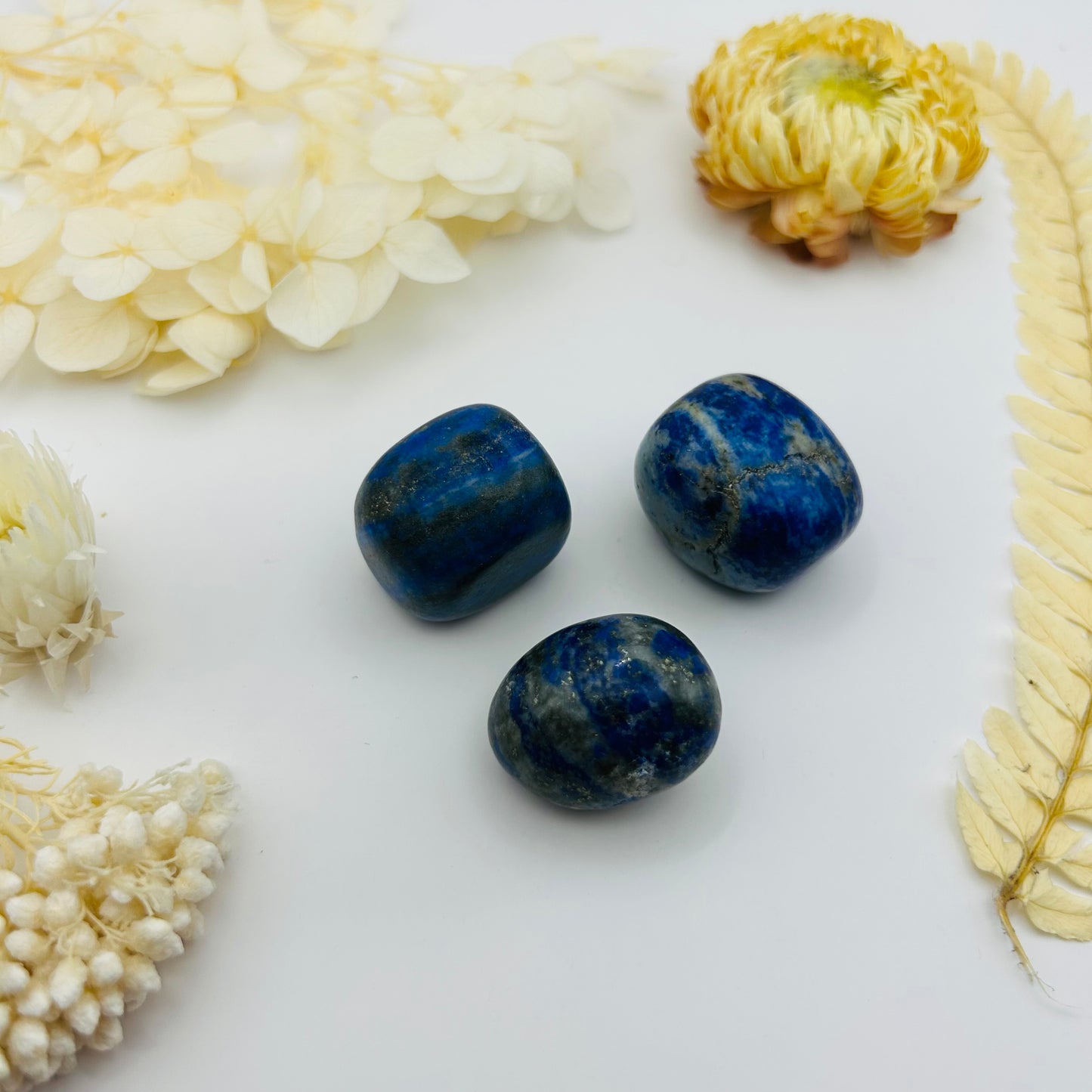 Lapis Lazuli (PR)