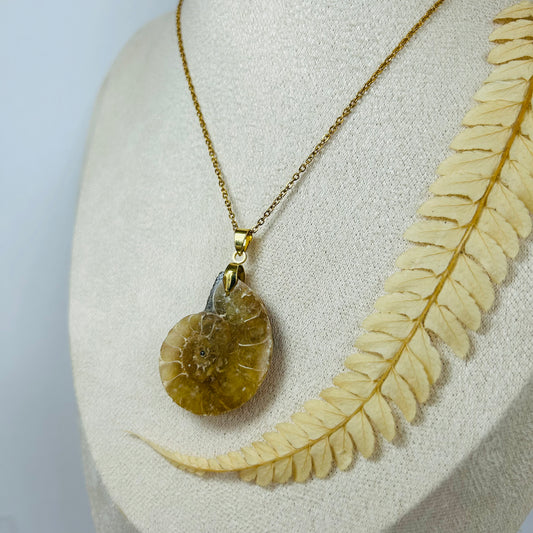 Pendentif Ammonite