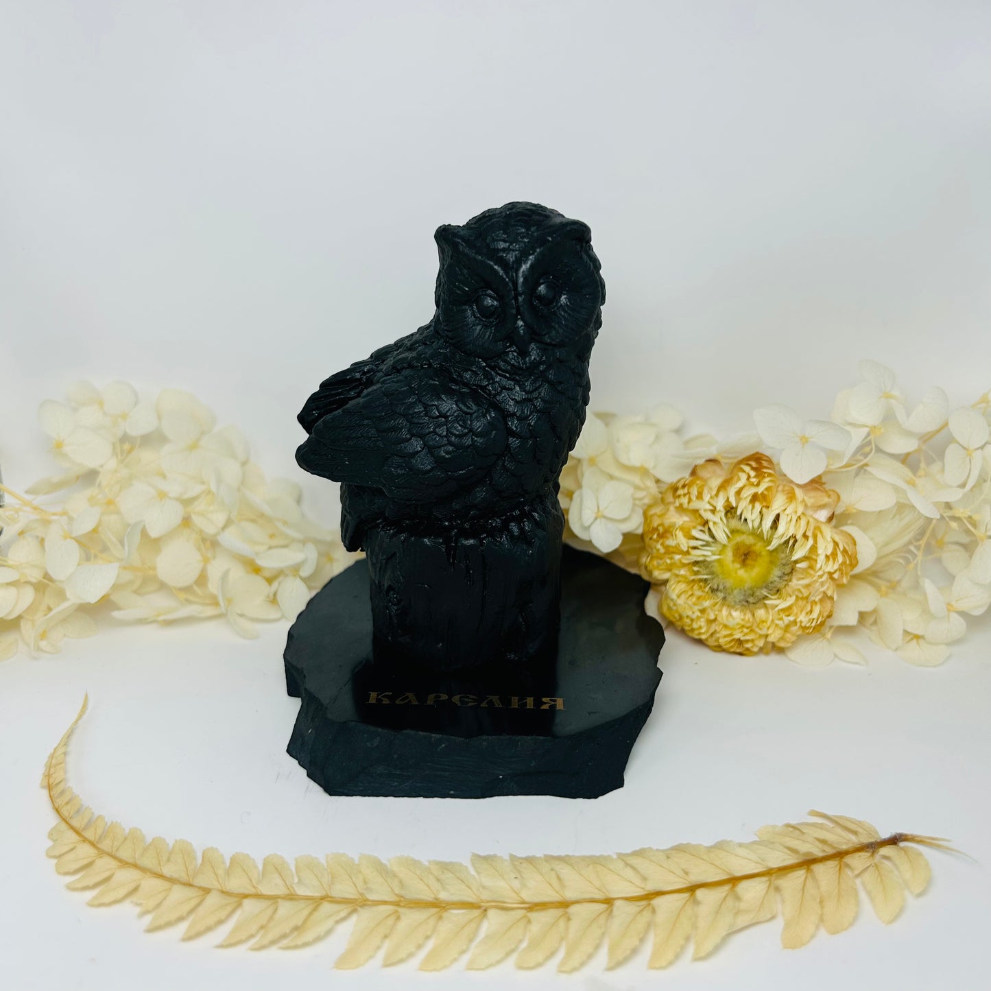 Sculpture Hibou en Shungite AA