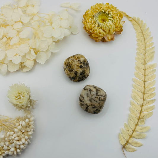 Zebradorite (PR)