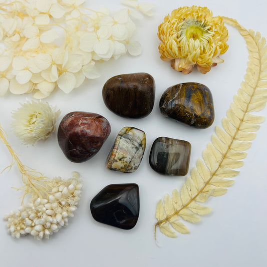 Fossil/Petrified Wood (PR)