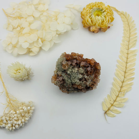 AA Aragonite Cluster