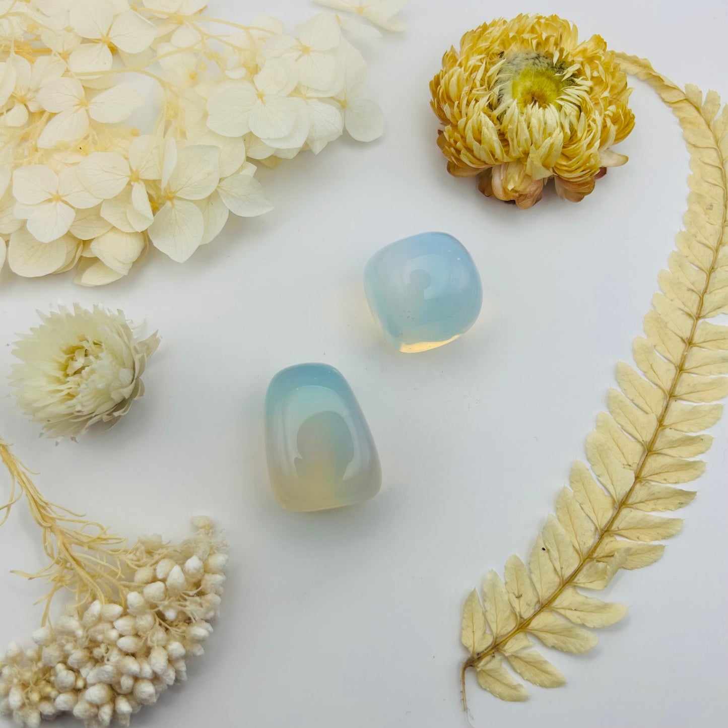 Opalite (PR)