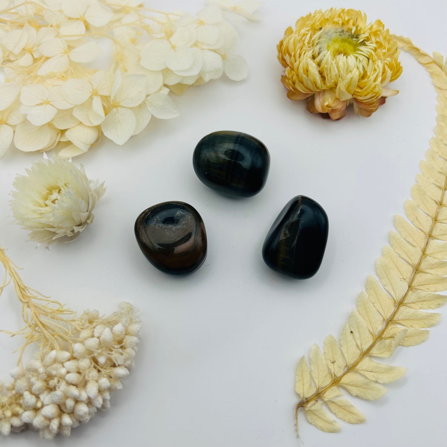 Tiger Eye and Hawk Eye (PR)