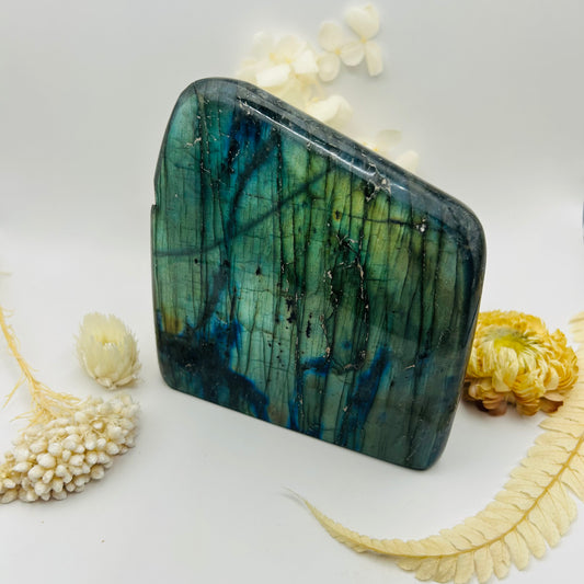Polished Labradorite A 