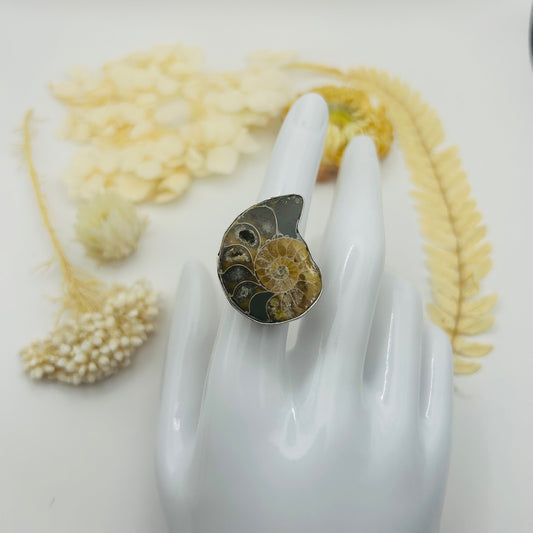 Ammonite Silver Ring (TR)