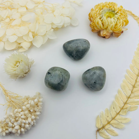 Labradorite (PR)